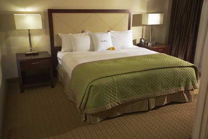 Doubletree By Hilton Tampa Rocky Point Waterfront Hotel Kamer foto